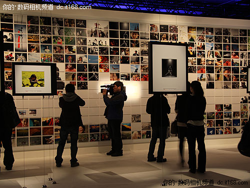冬趣（606）｜上游主题摄影征稿作品展——刘学芬作品